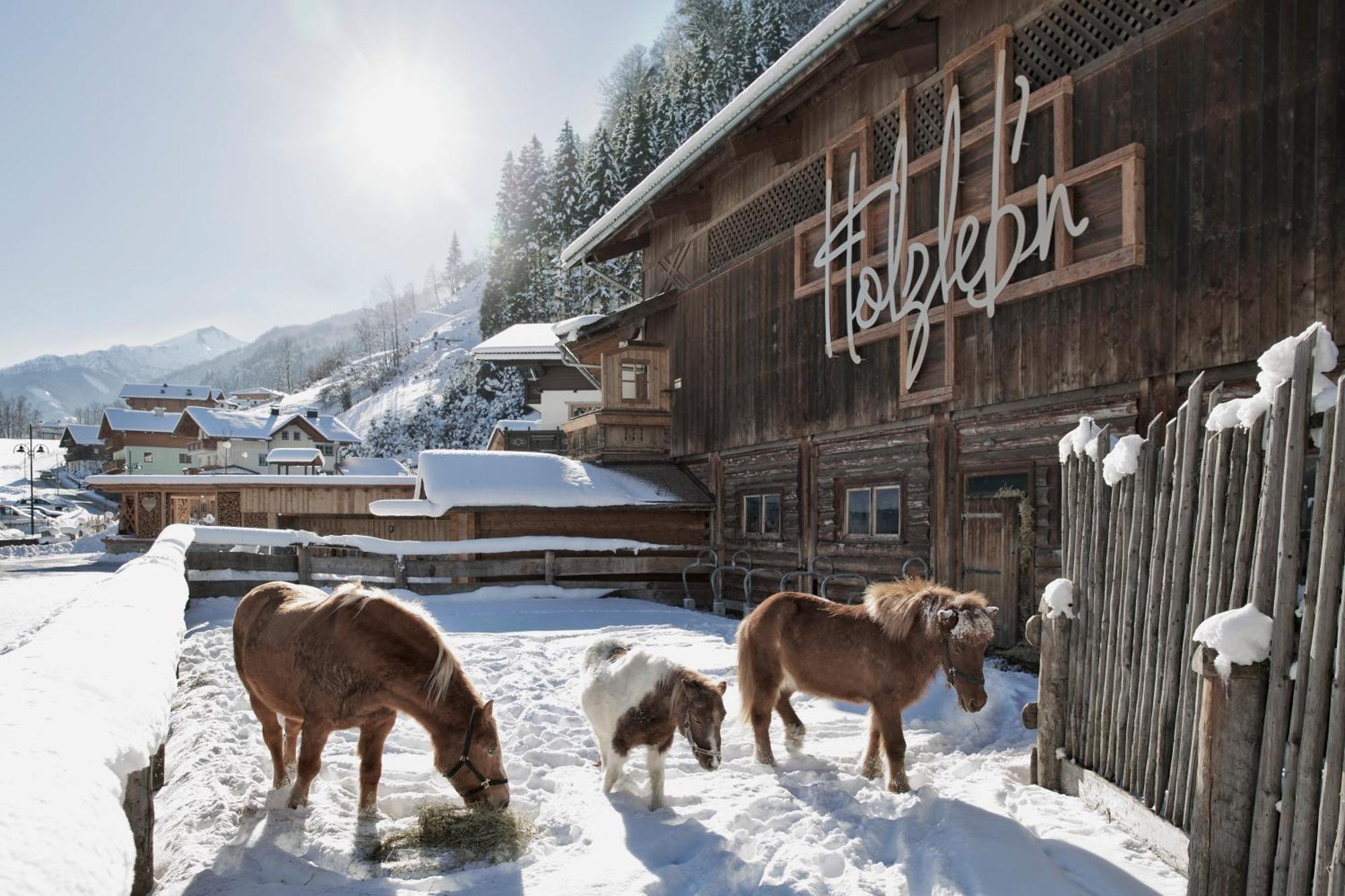 Feriendorf Holzlebn Гросарл Екстериор снимка