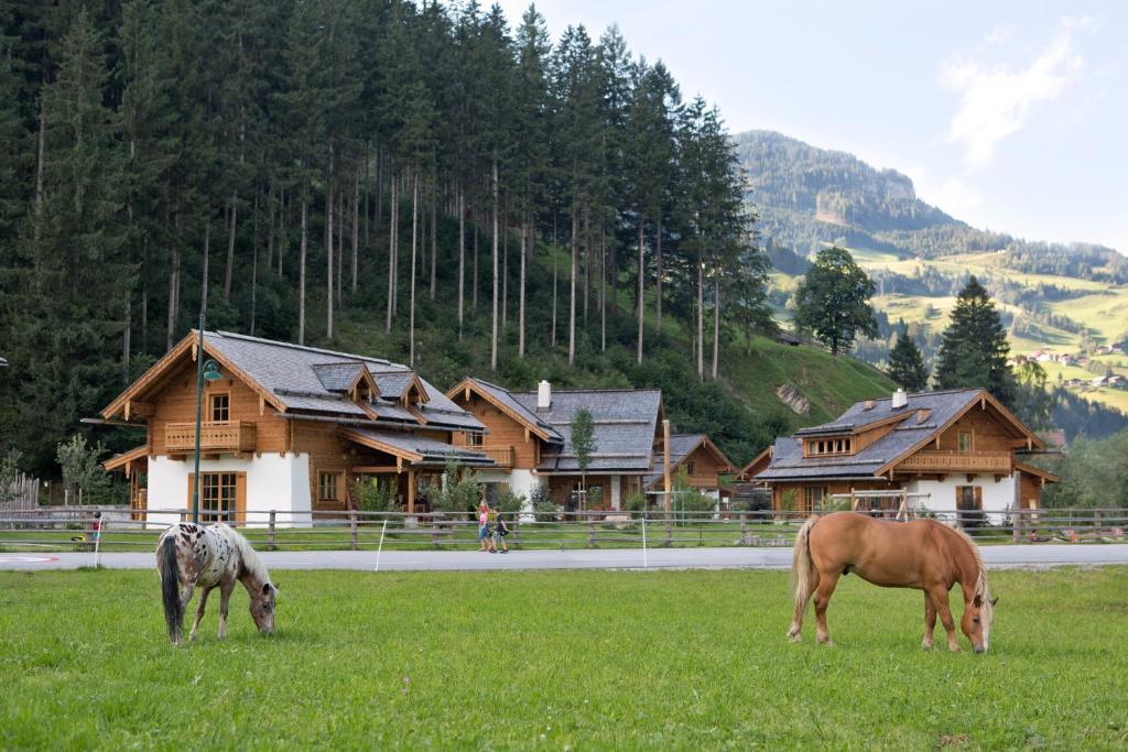 Feriendorf Holzlebn Гросарл Екстериор снимка